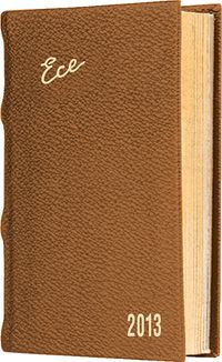 2013 Ece Ajanda - Muhtıra Serisi 5D Cep (Ürün Kod:5) Taba