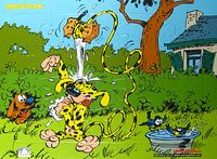 Marsupilami Yap Boz 10