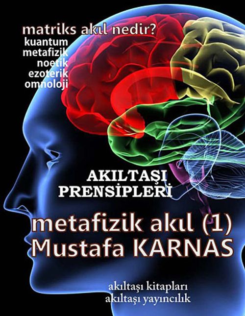Metafizik Akıl -1