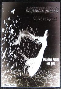 Başlıksız Şiirler Sesteş Duygular