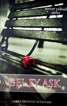 Gel Ey Aşk