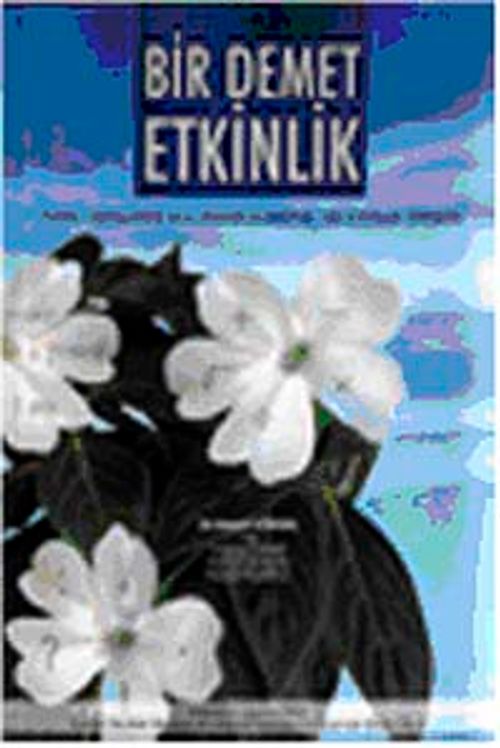 Bir Demet Etkinlik