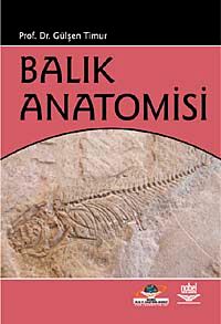 Balık Anatomisi