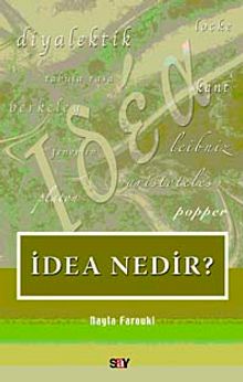 İdea Nedir?