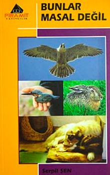 Bunlar Masal Değil