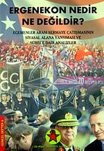 Ergenekon Nedir Ne Değildir? & Egemenler Arası Sermaye Çatışmasının Siyasal Alana Yansıması ve Sürece Dair Analizler / Cd Ekli
