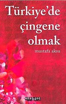 Türkiye'de Çingene Olmak