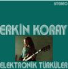 Elektronik T&uuml;rk&uuml;ler (Plak)