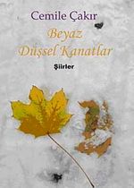 Beyaz Düşsel Kanatlar