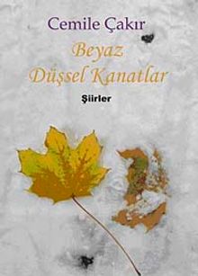 Beyaz Düşsel Kanatlar