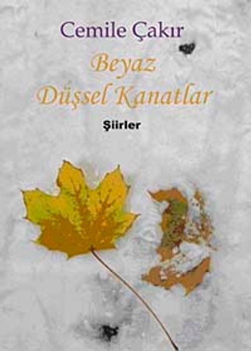 Beyaz Düşsel Kanatlar