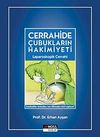 Cerrahide &Ccedil;ubukların Hakimiyeti & Laparoskopik Cerrahi