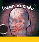 İnsan Vücudu