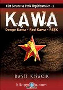 Kawa & Kürt Sorunu ve Etnik Örgütlenmeler-1