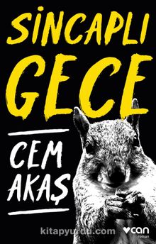Sincaplı Gece - Cem Akaş