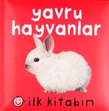 İlk Kitabım / Yavru Hayvanlar