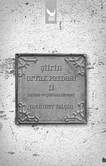 Şiirin Ortak Paydası-II Kuram ve Çözümlemeler