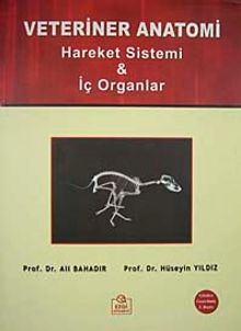 Veteriner Anatomi & Hareket Sistemi-İç Organlar