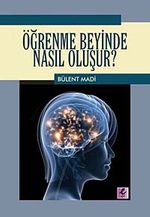 Öğrenme Beyinde Nasıl Oluşur?