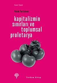 Kapitalizmin Sınırları ve Toplumsal Proletarya