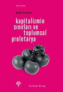 Kapitalizmin Sınırları ve Toplumsal Proletarya
