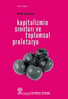 Kapitalizmin Sınırları ve Toplumsal Proletarya - Haluk Yurtsever