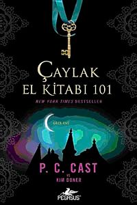 Çaylak El Kitabı 101