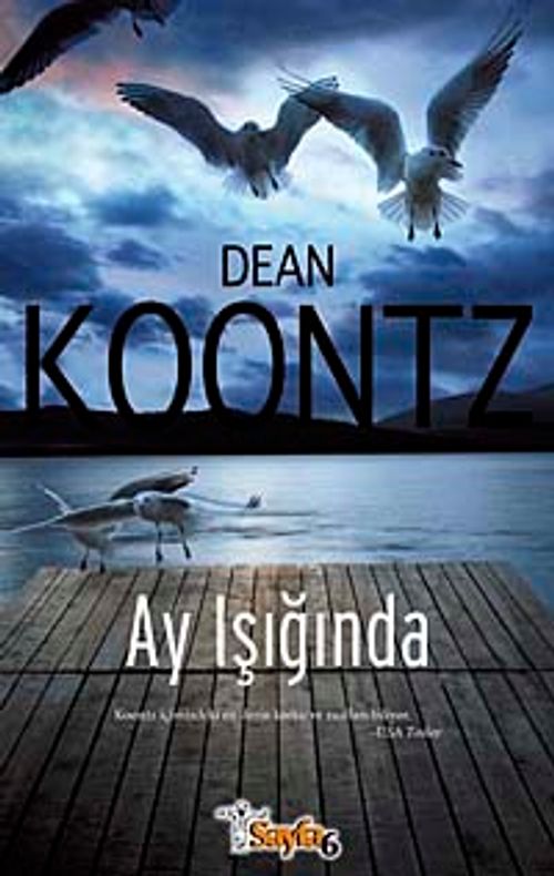 Ay Işığında