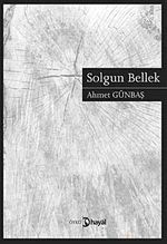 Solgun Bellek