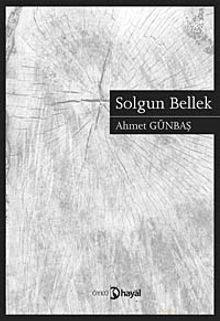 Solgun Bellek