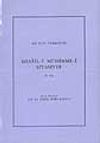 Mesaili M&uuml;himmei Siyasiyye 2.cilt