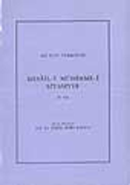Mesaili Mühimmei Siyasiyye 2.cilt