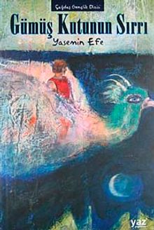 Gümüş Kutunun Sırrı / Çağdaş Gençlik Dizisi