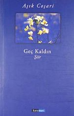 Geç Kaldın
