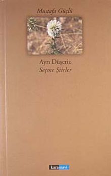 Ayrı Düşeriz - Seçme Şiirler