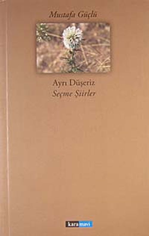 Ayrı Düşeriz - Seçme Şiirler