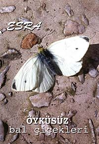 Öyküsüz Bal Çiçekleri