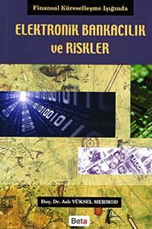 Elektronik Bankacılık ve Riskler & Finansal Küreselleşme Işığında