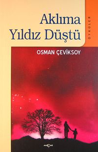 Aklıma Yıldız Düştü