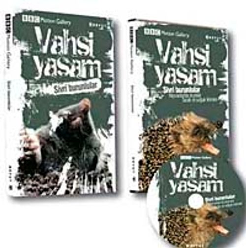 Vahşi Yaşam - Sivri Burunlular (Dvd Ekli)