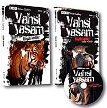 Vahşi Yaşam - Büyük Kediler (Dvd Ekli)