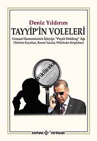 Tayyip'in Voleleri