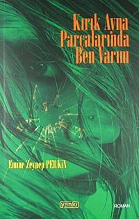 Kırık Ayna Parçalarında Ben Varım