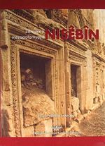 Kaniyek ji Mezopotamyaye Nisebin