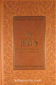 The Rays
