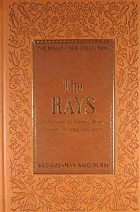 The Rays