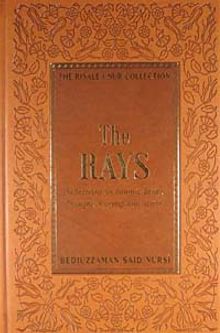 The Rays