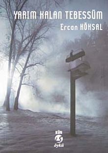 Yarım Kalan Tebessüm