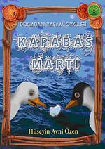 Karabaş Martı