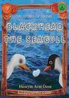 Black Head the Seagull